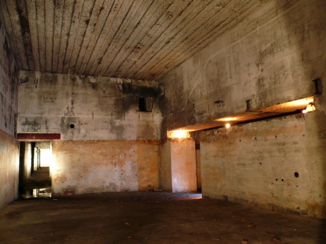 photo25.jpg