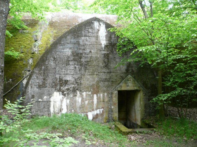 photo3.jpg