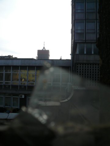 photo33.jpg