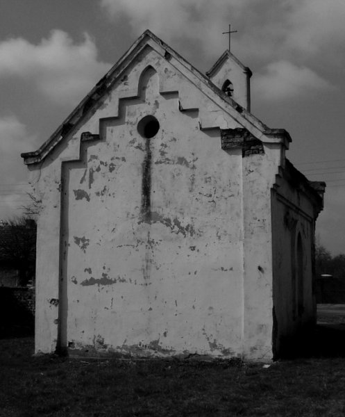 photo6.jpg