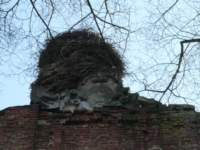photo5_small.jpg