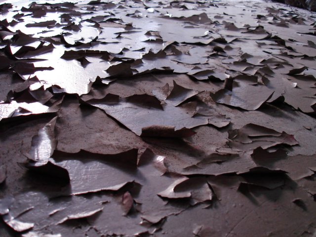 photo44.jpg