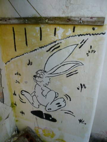 photo49.jpg