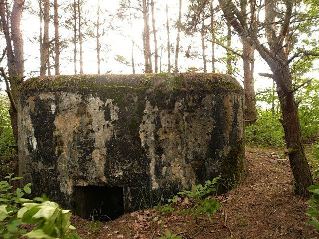 photo15.jpg