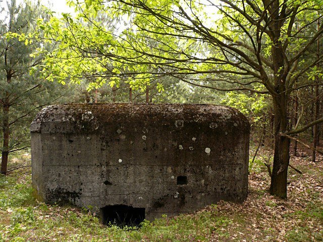 photo3.jpg