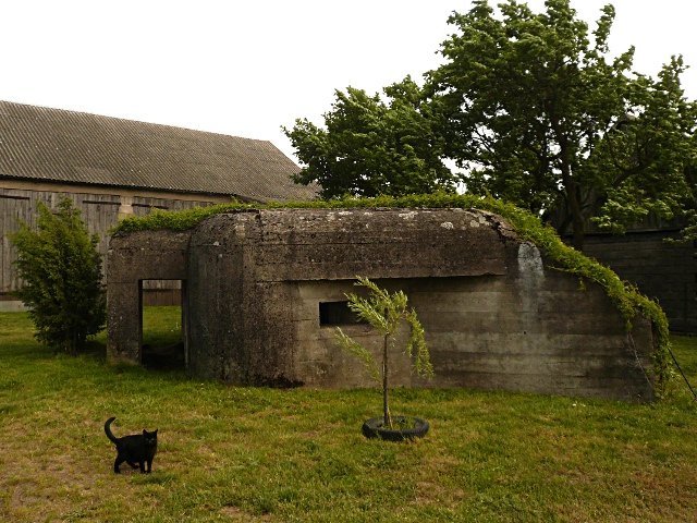 photo4.jpg