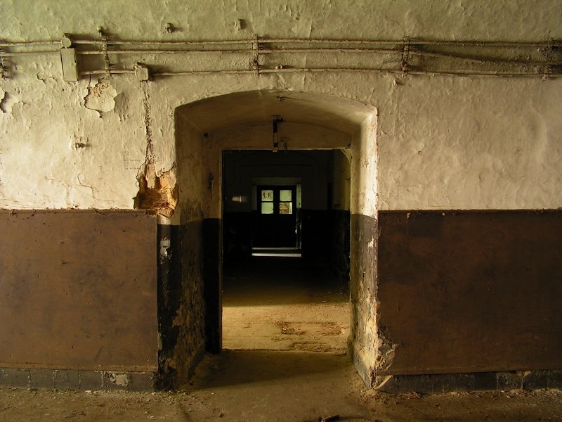 photo5.jpg