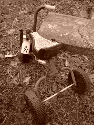 photo10.jpg