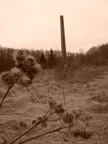 photo2.jpg