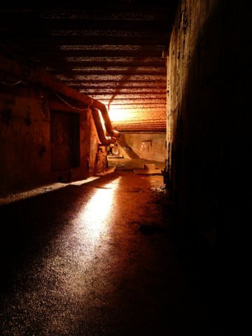 photo11.jpg