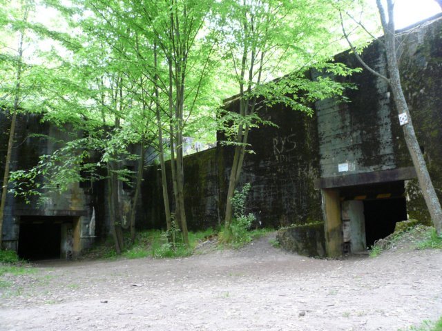 photo4.jpg