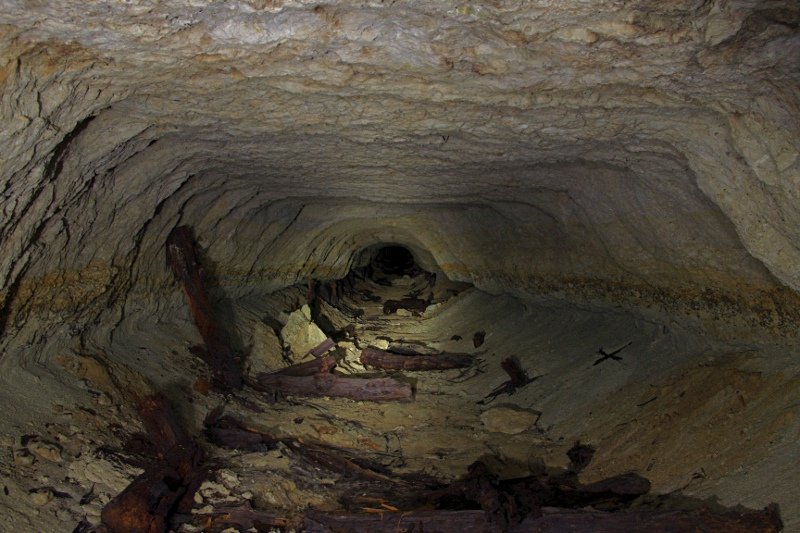 photo11.jpg