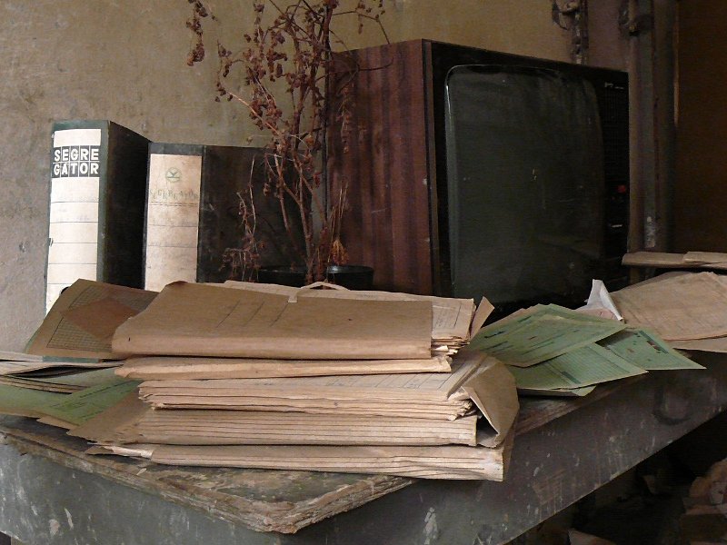 photo8.jpg