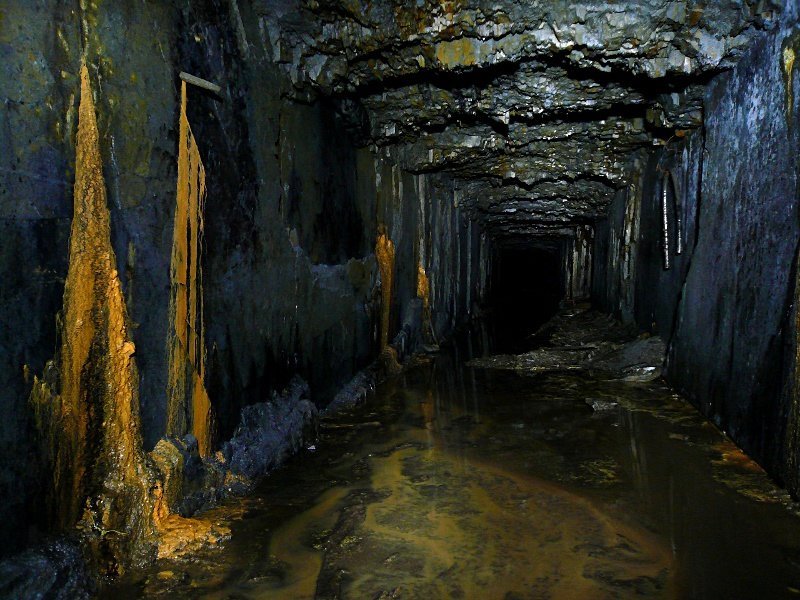 photo4.jpg