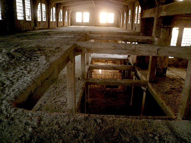 photo17.jpg