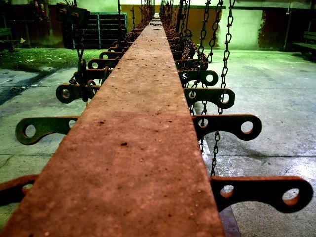photo13.jpg