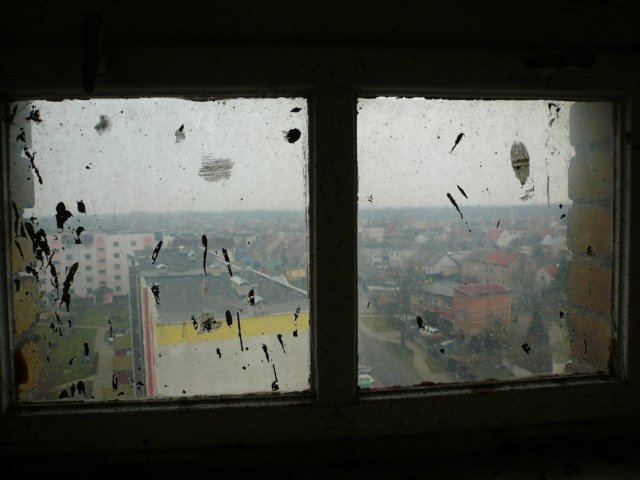 photo11.jpg