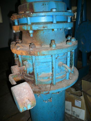 photo9.jpg