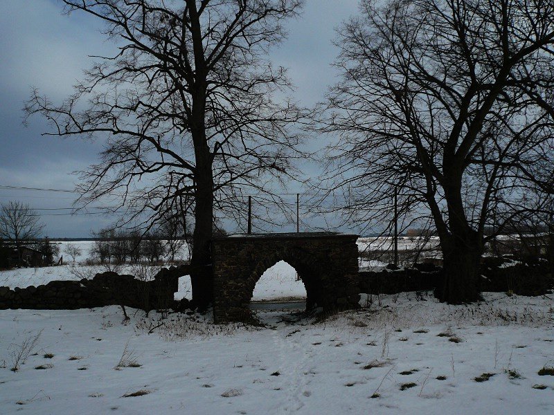 photo3.jpg