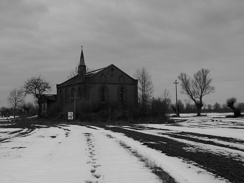 photo.jpg