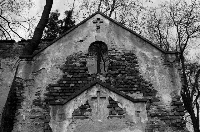photo3.jpg