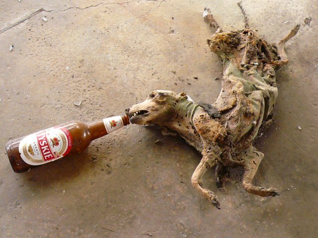photo12.jpg