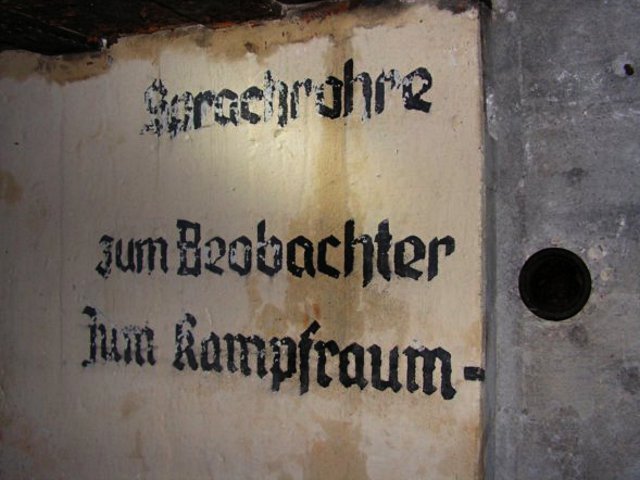 photo3.jpg