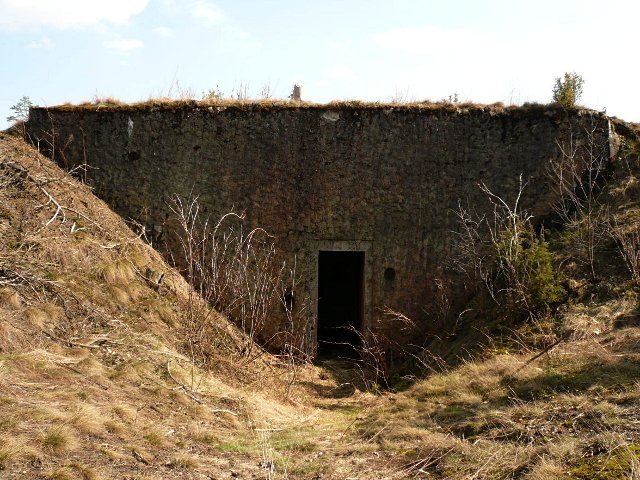 photo4.jpg