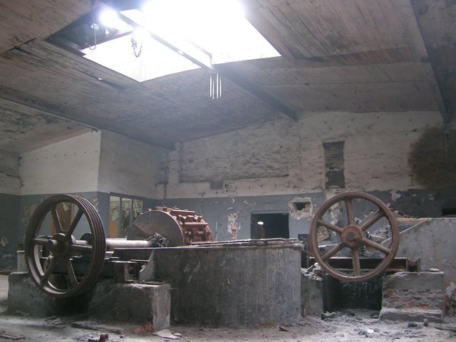 photo8.jpg