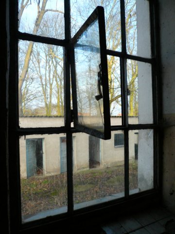 photo4.jpg