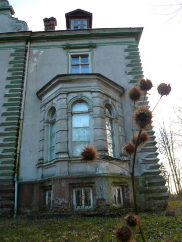 photo7.jpg