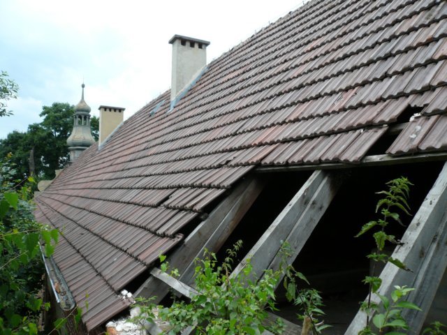 photo4.jpg