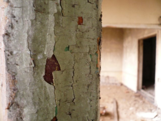 photo7.jpg