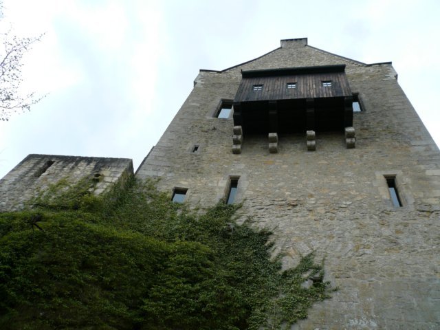photo6.jpg