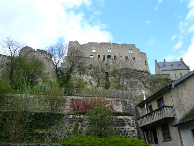 photo8.jpg