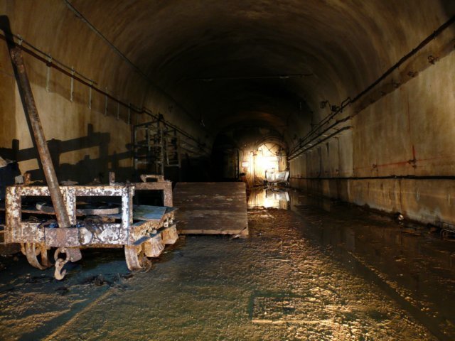 photo15.jpg