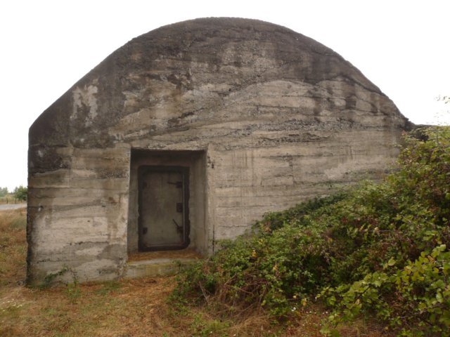 photo8.jpg
