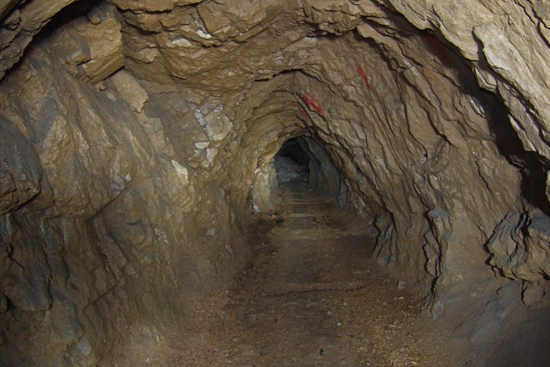 photo11.jpg