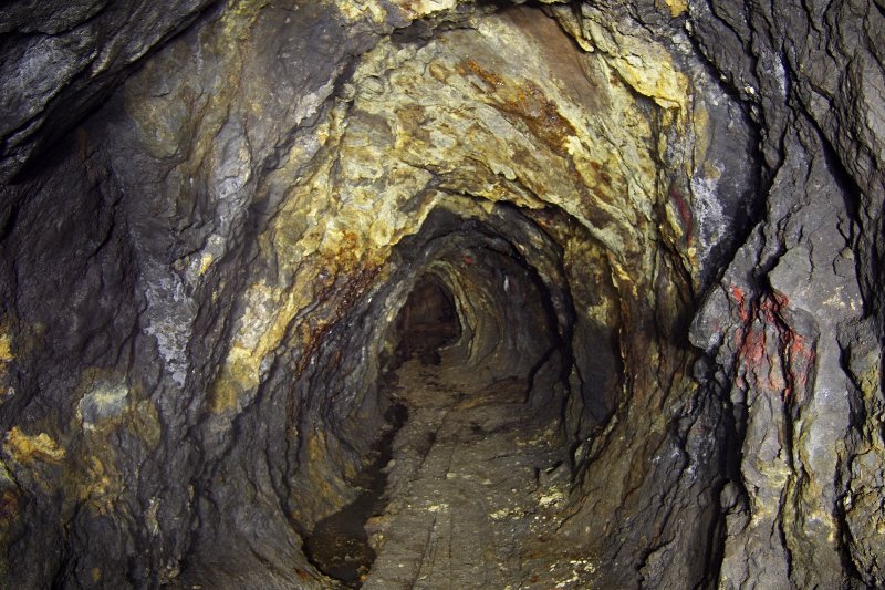 photo5.jpg