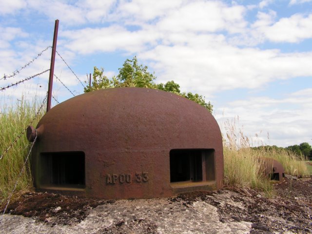 photo4.jpg