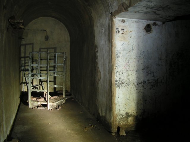 photo7.jpg