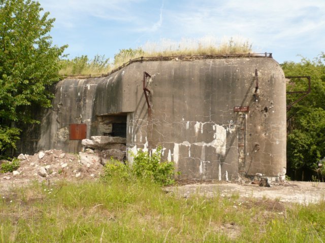 photo2.jpg