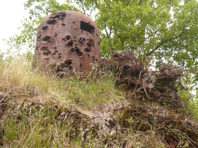 photo4.jpg