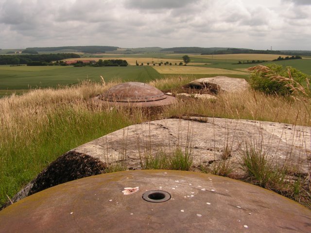 photo7.jpg