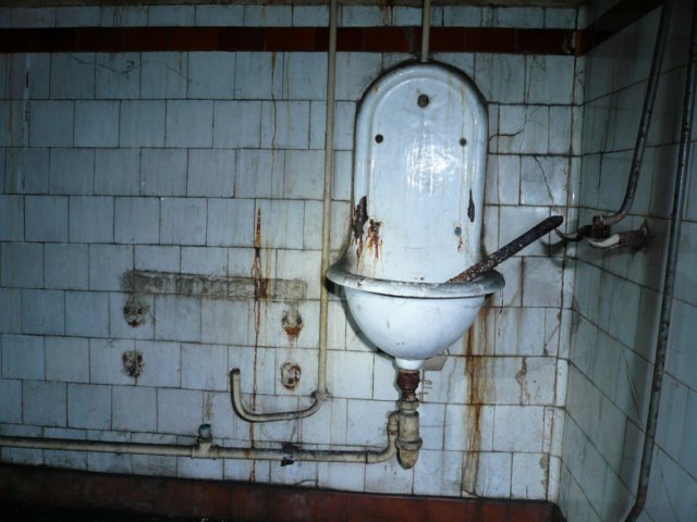 photo6.jpg