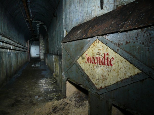photo7.jpg