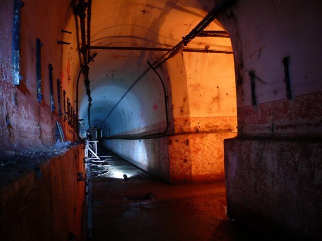 photo5.jpg