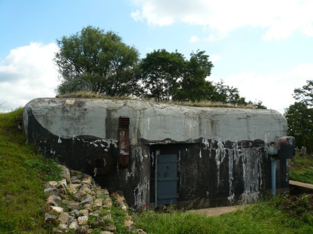photo4.jpg
