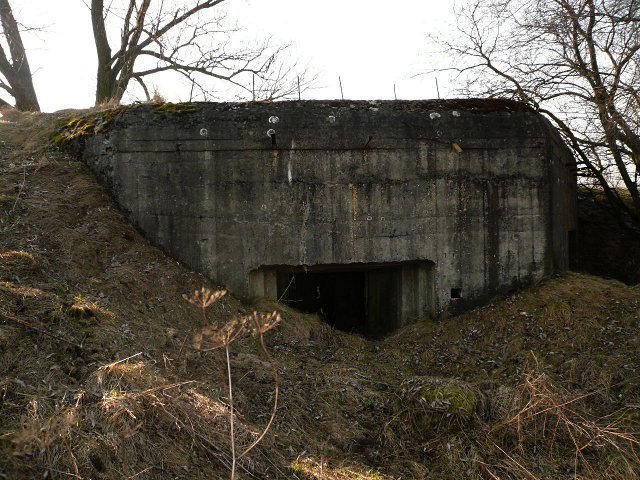 photo11.jpg