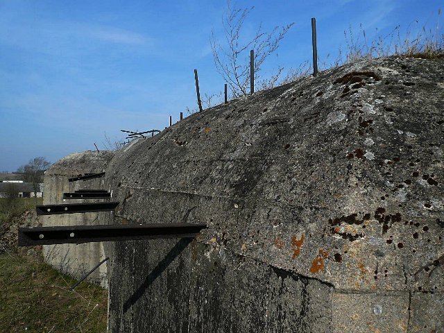photo11.jpg